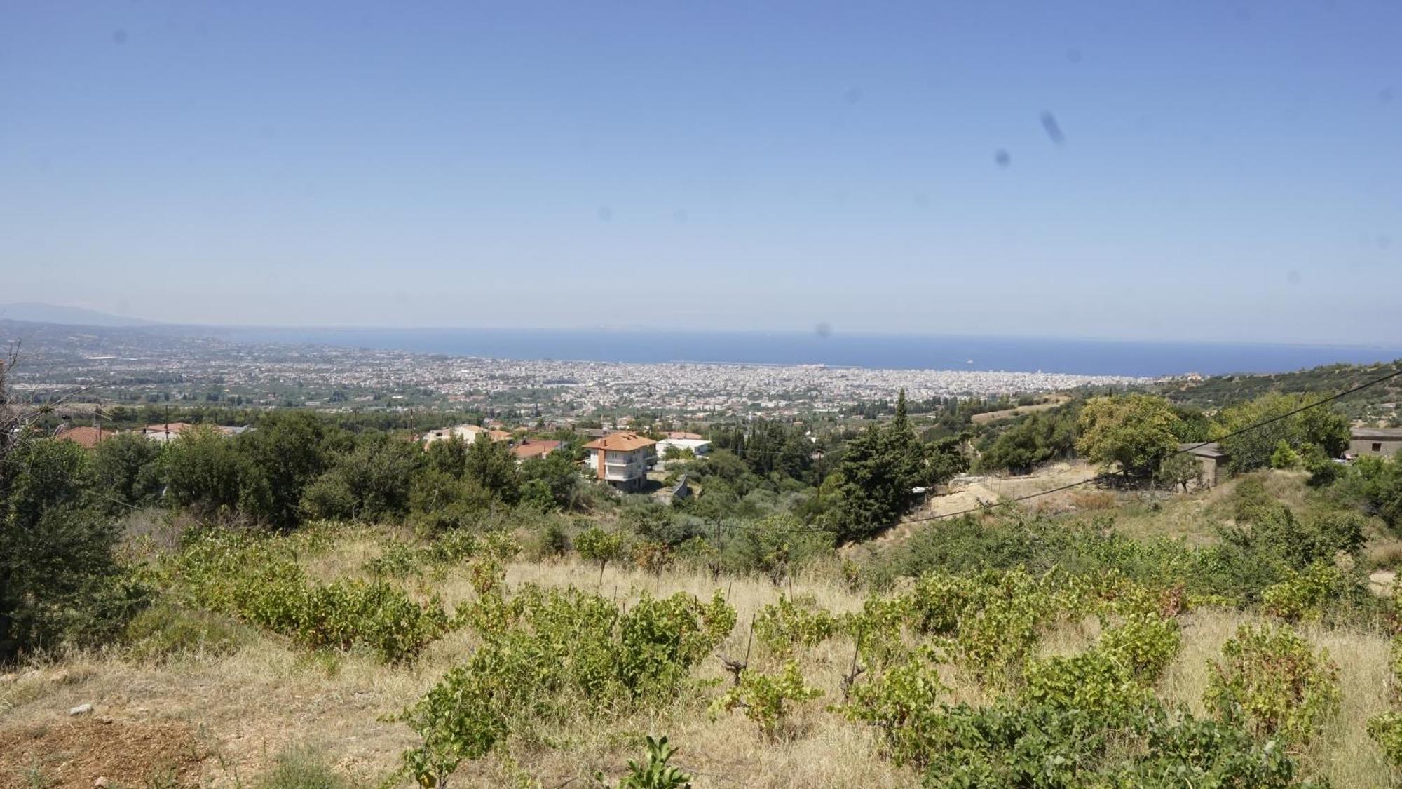 Romanos Patras Studio Luaran gambar
